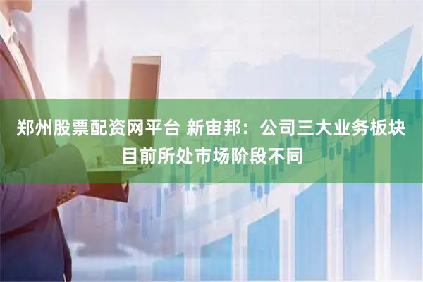 郑州股票配资网平台 新宙邦：公司三大业务板块目前所处市场阶段不同