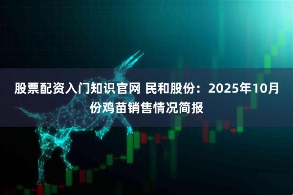 股票配资入门知识官网 民和股份：2025年10月份鸡苗销售情况简报