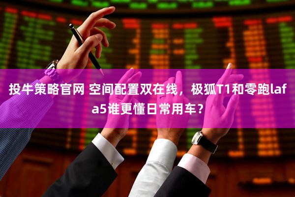投牛策略官网 空间配置双在线，极狐T1和零跑lafa5谁更懂日常用车？